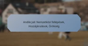 Andile Jali: Nemzetközi fellépések, Hozzájárulások, Örökség
