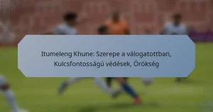 Itumeleng Khune: Szerepe a válogatottban, Kulcsfontosságú védések, Örökség
