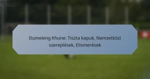 Itumeleng Khune: Tiszta kapuk, Nemzetközi szereplések, Elismerések