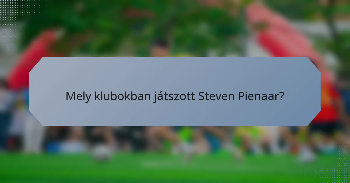 Mely klubokban játszott Steven Pienaar?