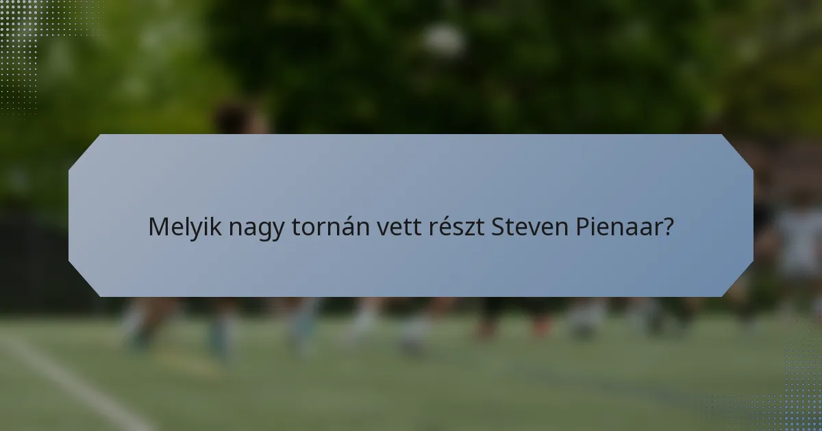 Melyik nagy tornán vett részt Steven Pienaar?