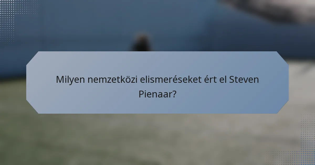 Milyen nemzetközi elismeréseket ért el Steven Pienaar?