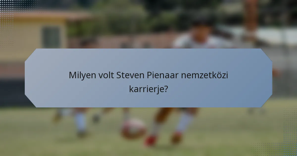 Milyen volt Steven Pienaar nemzetközi karrierje?